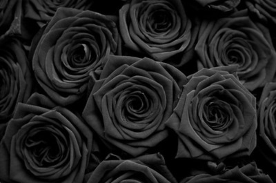 gotycka czarna róża goth gothic